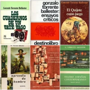 Ensayo, crítica y diarios de trabajo